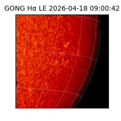 gong - 2026-04-18T09:00:42