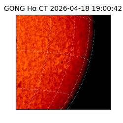 gong - 2026-04-18T19:00:42