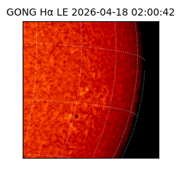 gong - 2026-04-18T02:00:42