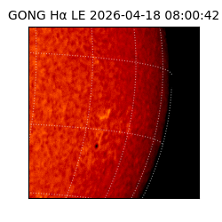 gong - 2026-04-18T08:00:42