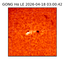 gong - 2026-04-18T03:00:42