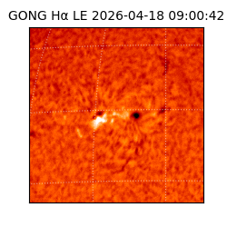 gong - 2026-04-18T09:00:42