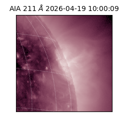 saia - 2026-04-19T10:00:09.624000