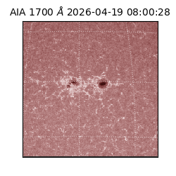 saia - 2026-04-19T08:00:28.719000