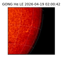 gong - 2026-04-19T02:00:42