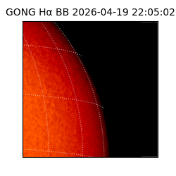 gong - 2026-04-19T22:05:02