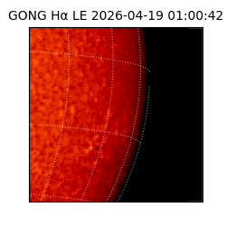 gong - 2026-04-19T01:00:42