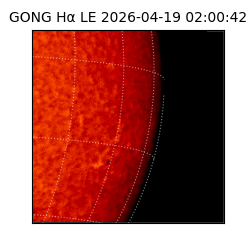gong - 2026-04-19T02:00:42