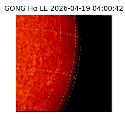 gong - 2026-04-19T04:00:42
