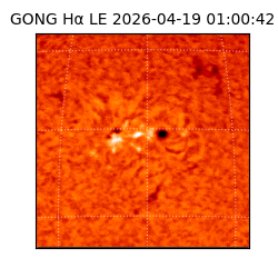 gong - 2026-04-19T01:00:42