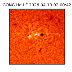 gong - 2026-04-19T02:00:42