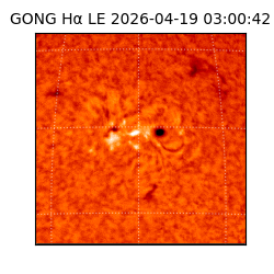 gong - 2026-04-19T03:00:42