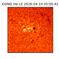 gong - 2026-04-19T05:00:42
