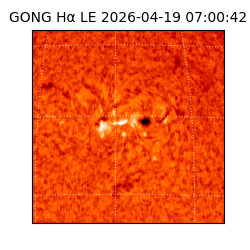 gong - 2026-04-19T07:00:42