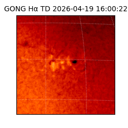 gong - 2026-04-19T16:00:22