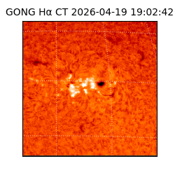 gong - 2026-04-19T19:02:42