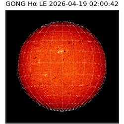 gong - 2026-04-19T02:00:42