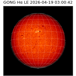 gong - 2026-04-19T03:00:42