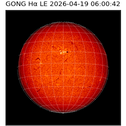 gong - 2026-04-19T06:00:42