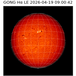 gong - 2026-04-19T09:00:42