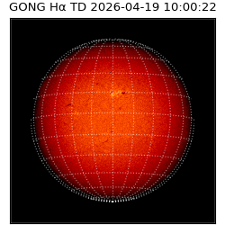 gong - 2026-04-19T10:00:22