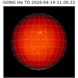 gong - 2026-04-19T11:00:22