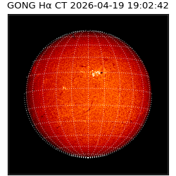 gong - 2026-04-19T19:02:42
