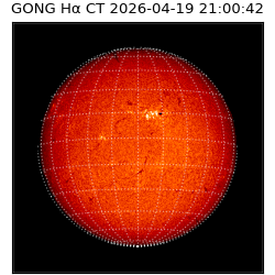 gong - 2026-04-19T21:00:42