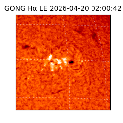 gong - 2026-04-20T02:00:42