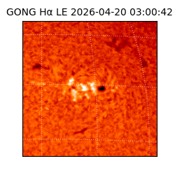 gong - 2026-04-20T03:00:42