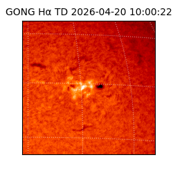 gong - 2026-04-20T10:00:22