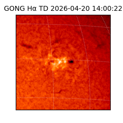 gong - 2026-04-20T14:00:22