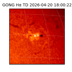 gong - 2026-04-20T18:00:22