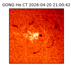 gong - 2026-04-20T21:00:42