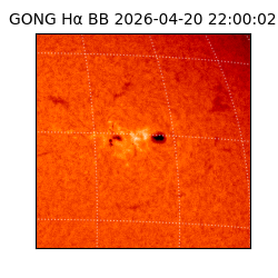 gong - 2026-04-20T22:00:02