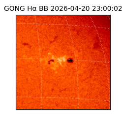 gong - 2026-04-20T23:00:02