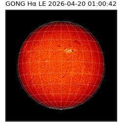 gong - 2026-04-20T01:00:42