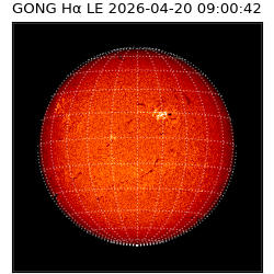 gong - 2026-04-20T09:00:42