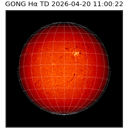 gong - 2026-04-20T11:00:22