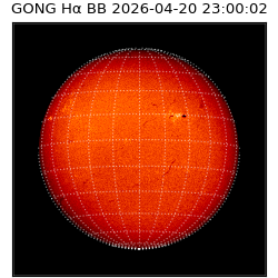 gong - 2026-04-20T23:00:02