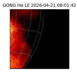 gong - 2026-04-21T08:01:42