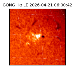 gong - 2026-04-21T06:00:42