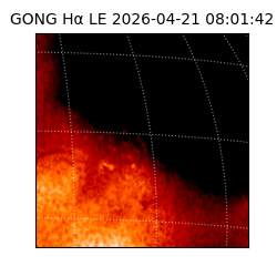 gong - 2026-04-21T08:01:42