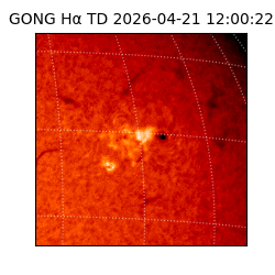 gong - 2026-04-21T12:00:22