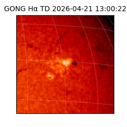 gong - 2026-04-21T13:00:22