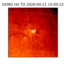 gong - 2026-04-21T15:00:22