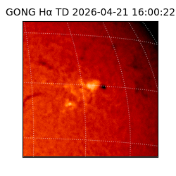 gong - 2026-04-21T16:00:22