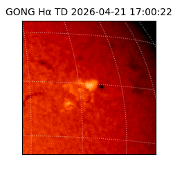 gong - 2026-04-21T17:00:22