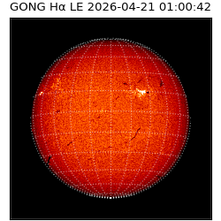 gong - 2026-04-21T01:00:42