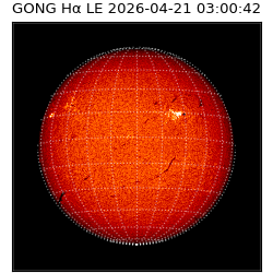gong - 2026-04-21T03:00:42